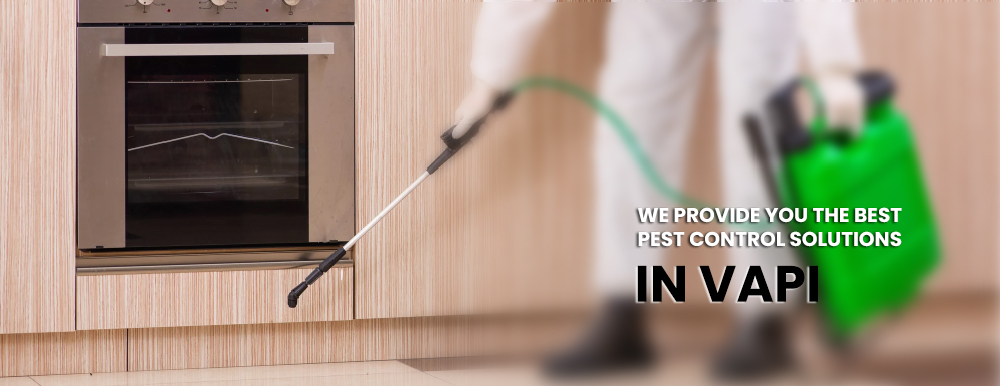 pest control service in vapi